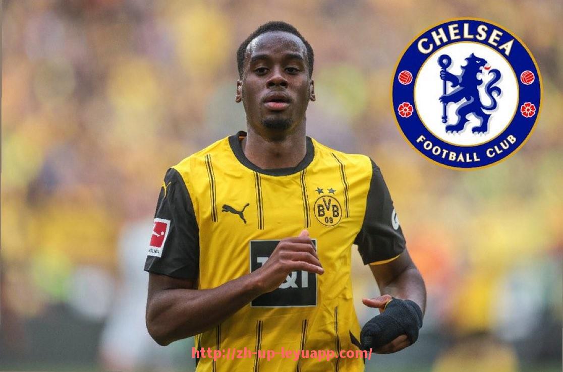 乐鱼体育入口-德甲拜耳勒沃库森球队的历史与现状